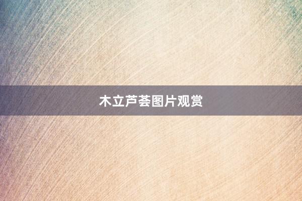 木立芦荟图片观赏