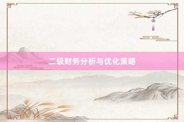 二级财务分析与优化策略